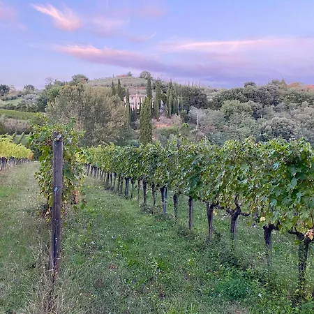 Sogni Doro Etruscan * Montepulciano